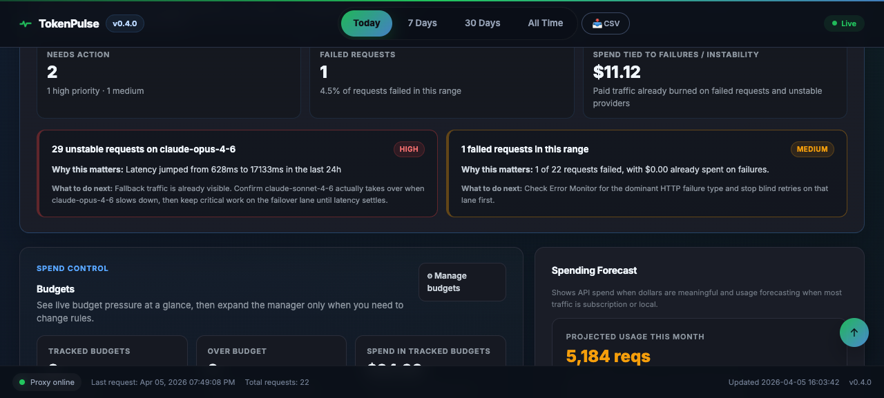 TokenPulse dashboard charts and provider breakdowns